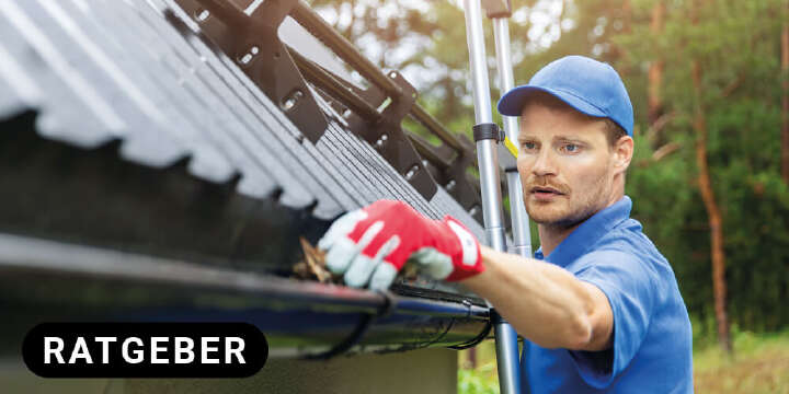 landflair Startbanner Naturnah in den Herbst ratgeber 1000x500